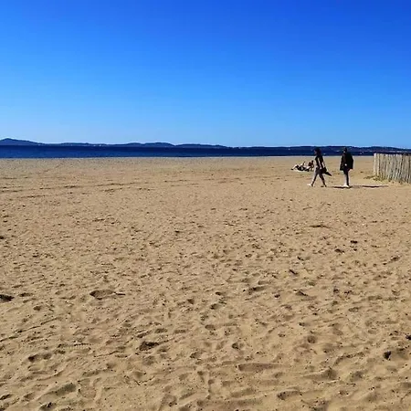 T2 Bord De De L'ayguade * Hyeres